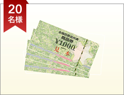 20lFSSݓXʏi \3,000