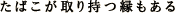 ΂莝